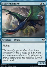 Soaring Drake - 