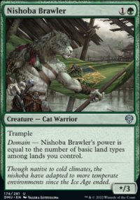 Nishoba Brawler - 