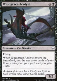 Windgrace Acolyte - 