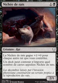 Nichée de rats - 