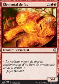 lmental de feu - 