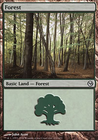 Forest - 