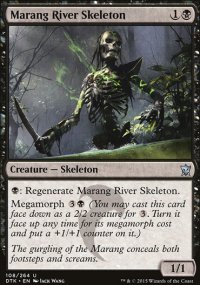 Marang River Skeleton - 