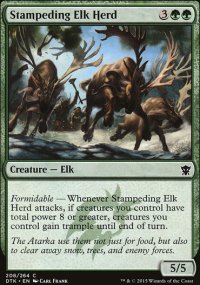 Stampeding Elk Herd - 