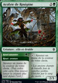 Acolyte de Rospine<br>Rituel saisonier - 