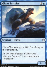 Giant Tortoise - 