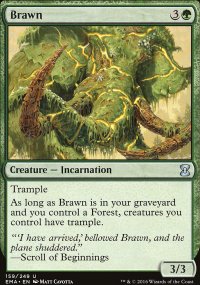 Brawn - Eternal Masters