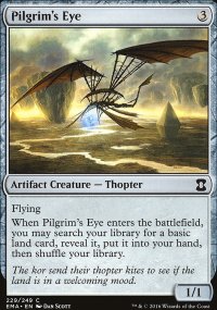 Pilgrim's Eye - 