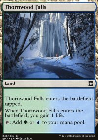 Thornwood Falls - 