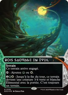 Bois sauvage en veil - Edge of Eternities - Stellar Sights