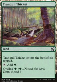 Tranquil Thicket - 