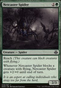 Netcaster Spider - 