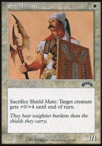 Shield Mate - 