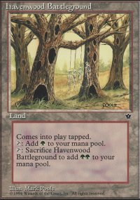 Havenwood Battleground - 