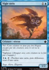 Vigie strix - Foundations