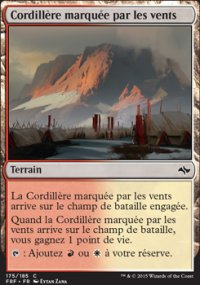 Cordillre marque par les vents - 