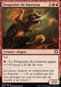 Dragonnet du fourneau - 