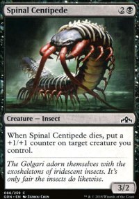 Spinal Centipede - 