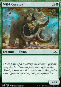 Wild Ceratok - 