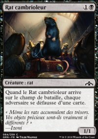 Rat cambrioleur - 