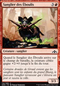 Sanglier des boulis - 