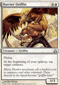 Griffon busard - 