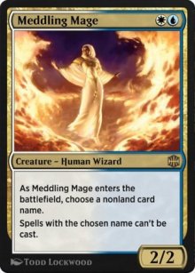 Meddling Mage - 