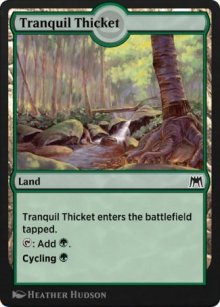 Tranquil Thicket - 