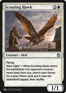 Scouting Hawk - 