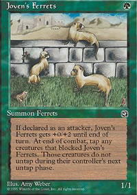 Joven's Ferrets - 