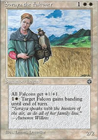 Soraya the Falconer - 