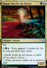 Huppe fascie du fleuve - 