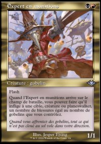 Expert en munitions - 
