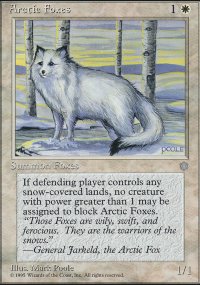 Arctic Foxes - 