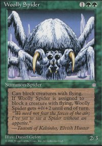 Woolly Spider - 