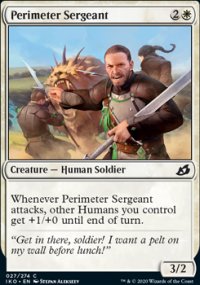 Perimeter Sergeant - 