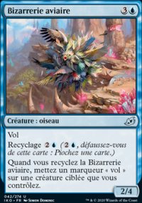 Bizarrerie aviaire - 