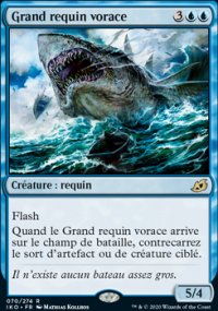 Grand requin vorace - 