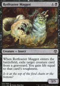 Rotfeaster Maggot - 