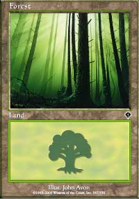 Forest - 