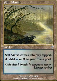 Salt Marsh - 