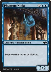 Ninja fantomatique - 