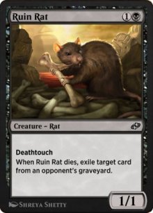 Ruin Rat - 