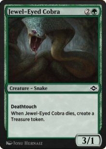 Jewel-Eyed Cobra - 