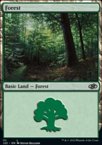 Forest - 