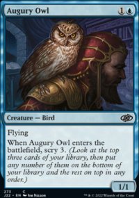 Augury Owl - 