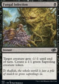 Fungal Infection - 