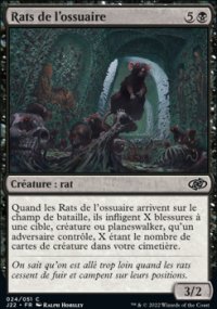 Rats de l'ossuaire - 