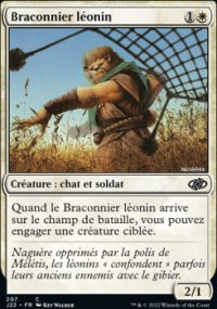 Braconnier léonin - 