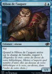 Hibou de l'augure - 